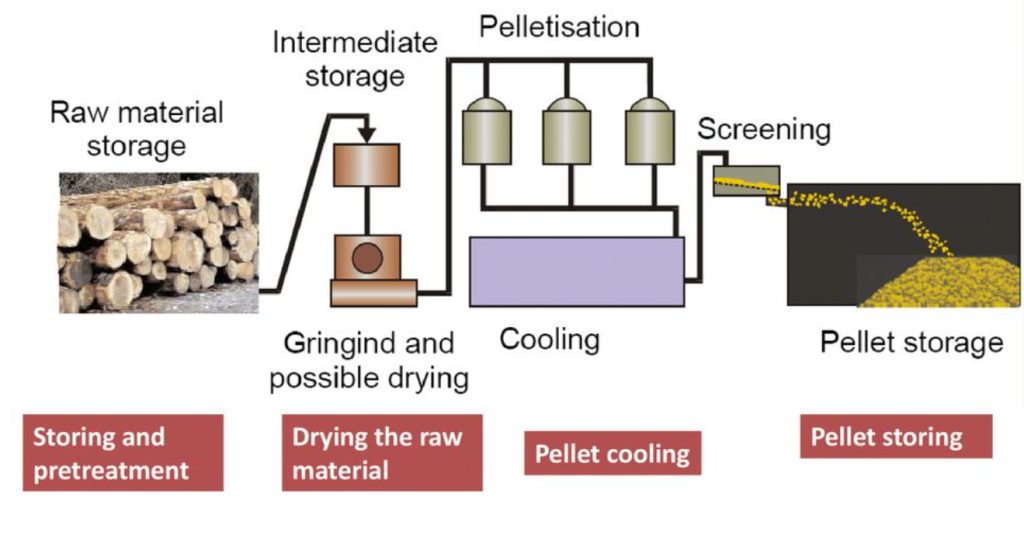 Process of Making Wood Pellet